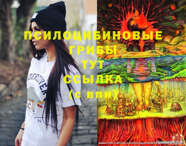 Альфа ПВП Абаза